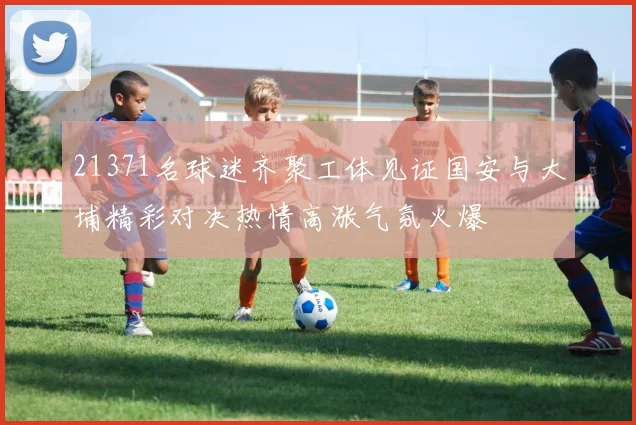 21371名球迷齐聚工体见证国安与大埔精彩对决热情高涨气氛火爆