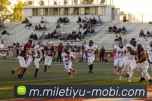 米乐体育发展历程